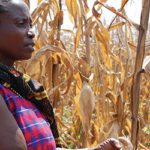 Does Climate Change Worsen Hunger? – The Emerging Relationship between Global Food Security and Climate Change