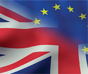 Is Brexit a purely British or European phenomenon?