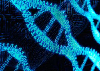 Is DNA programmable?