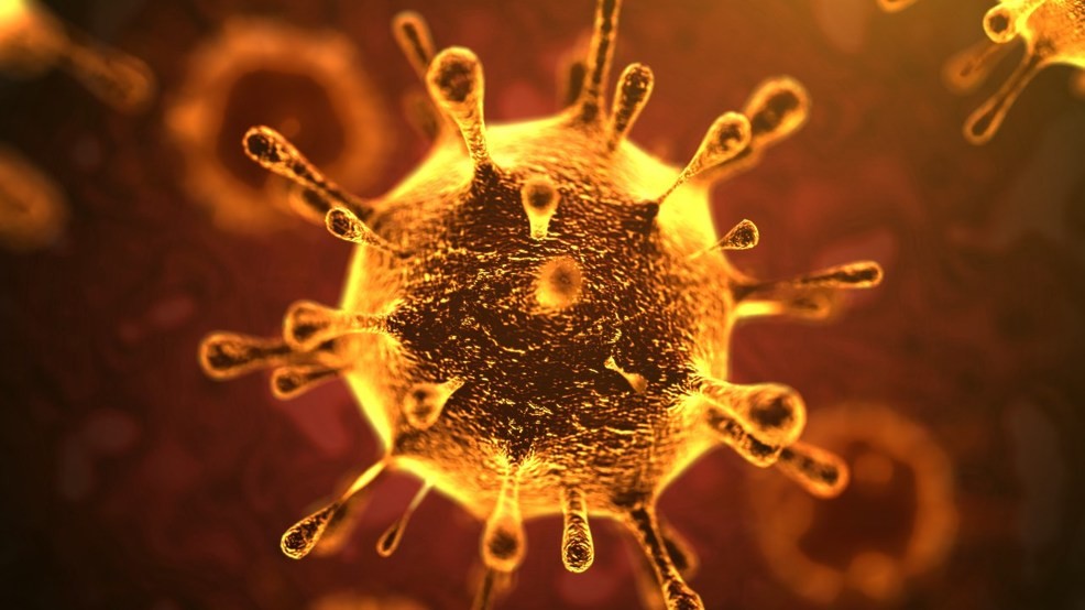 The Novel Coronavirus Epidemic/Pandemic: Impact on Global Health, Mobility and Economy