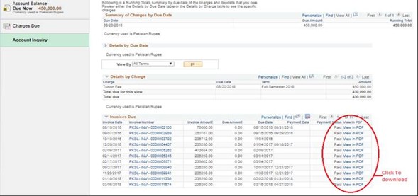 PeopleSoft screenshot 2