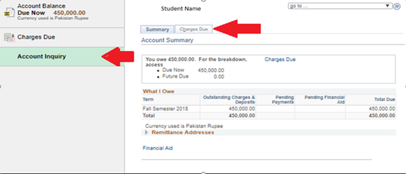 PeopleSoft screenshot 3