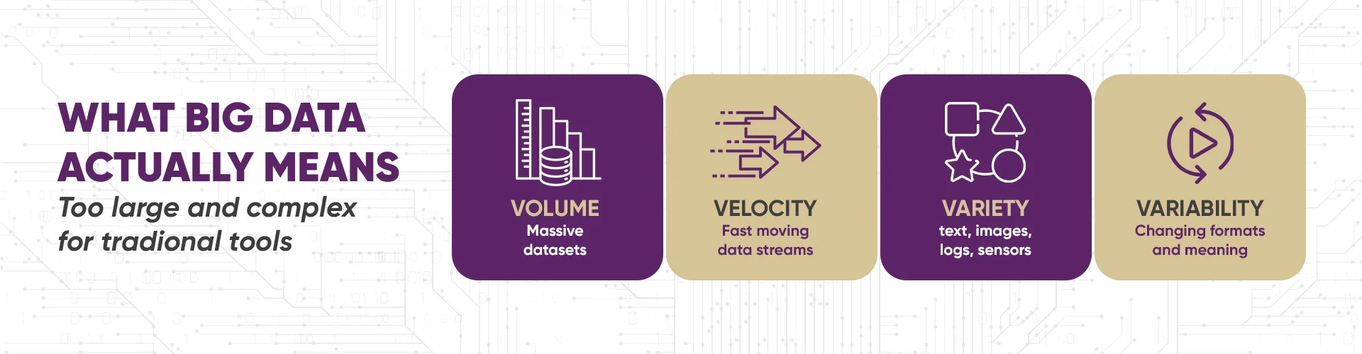 What Big Data Actually Means