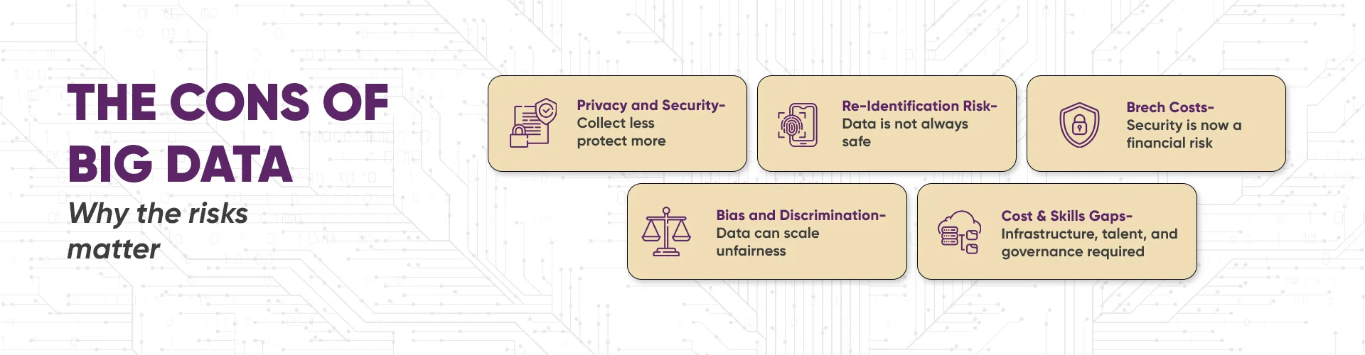 cons of big data